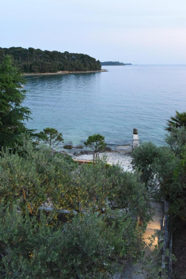 Buric House - M Suite - 95M2 And 54 M2 Terrace Rovinj Exteriör bild